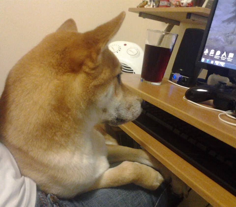 全国青少年“绿色篮球节”在南京全面启动,倡导低碳绿色生活方式