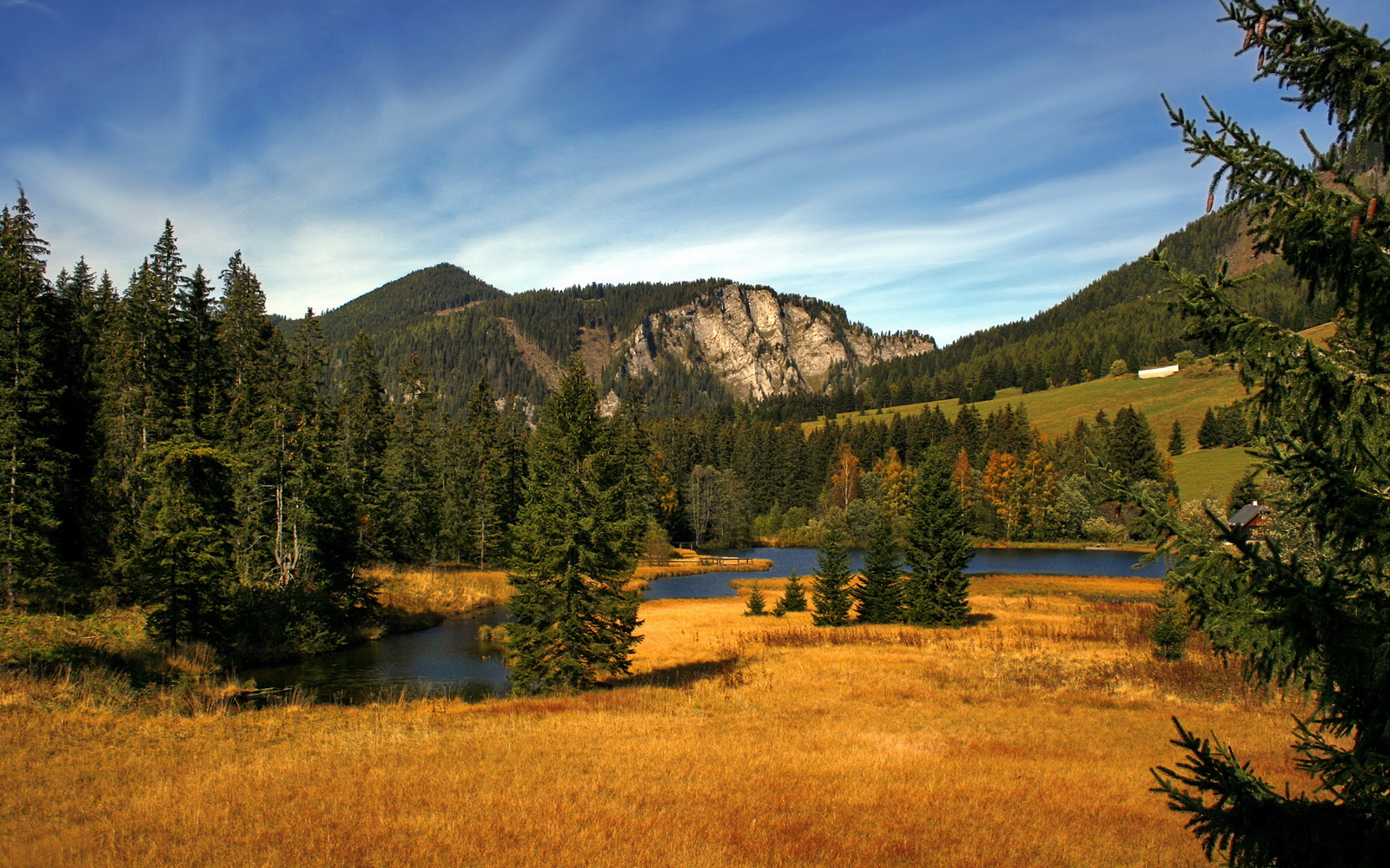 拜仁主场大胜,提前锁定晋级资格,拜仁各项赛事连胜