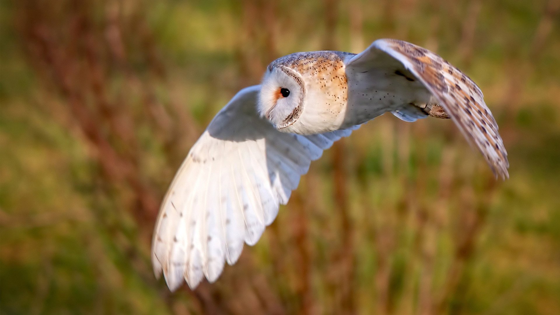 数字化青训平台实现个性化定制,培养青少年差异化发展,青少年数字化平台登录入口