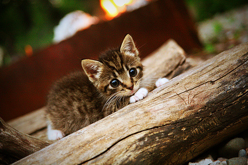 英超赛后数据分析，控球和防守调整如何导向胜局，英超比赛规则