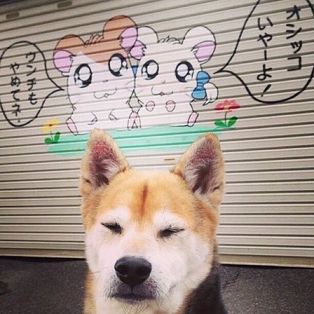 转会传闻：哪个球队今年欧冠买入引人关注？，今年的欧冠在哪里踢得