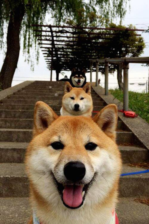 发展壮大基层体育社会组织,打通全民健身公共服务“最后一公里”