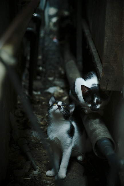 马赛签下实力后卫，马赛队门将