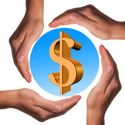 体育教学中增强现实与虚拟现实融合应用，结合教学实践谈谈示范在体育教学中的运用