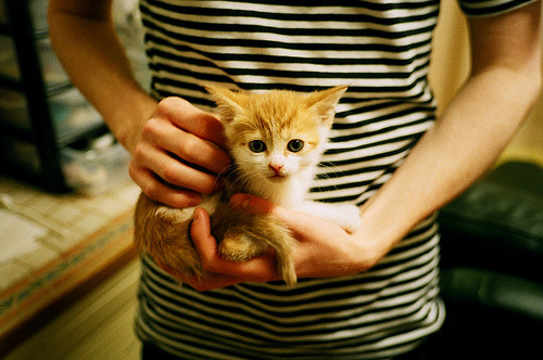 篮球运动员竞技状态智能监测技术开发，篮球运动员竞技能力分析