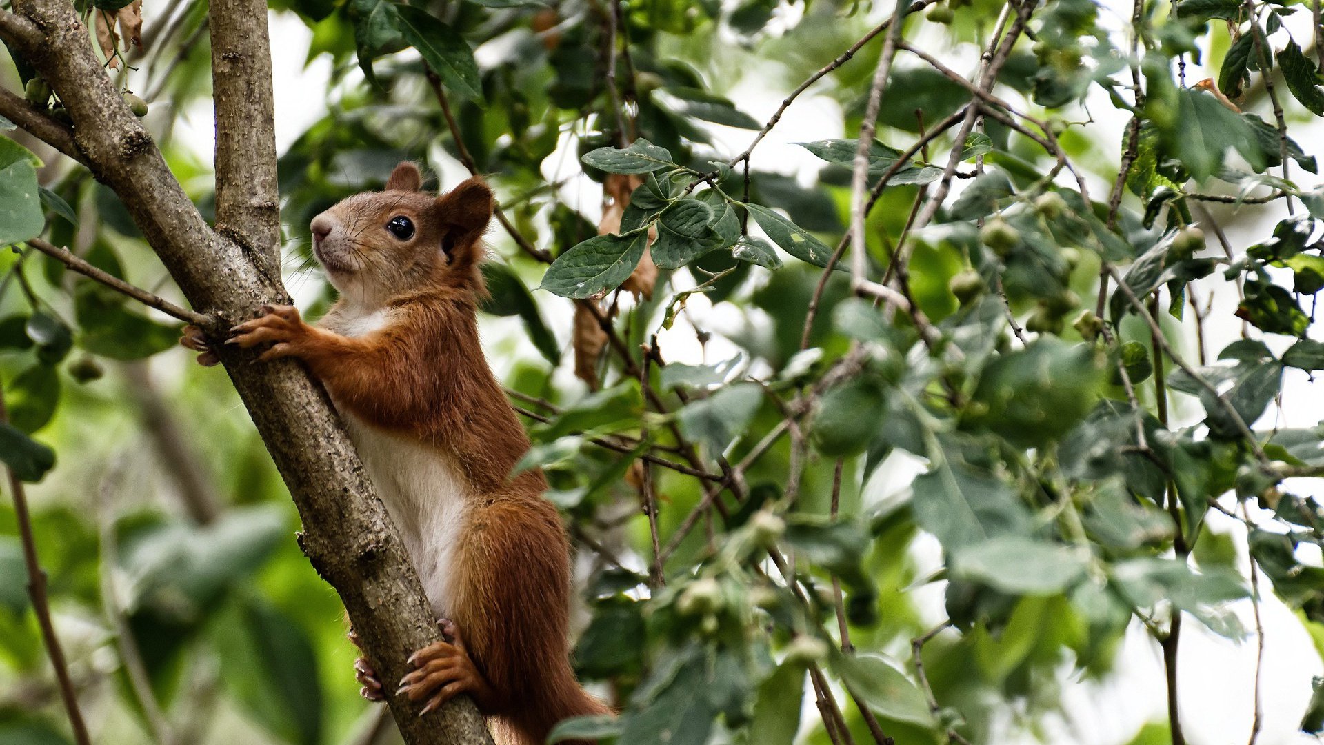 高校体育课程体系优化研究报告，高校体育课程标准