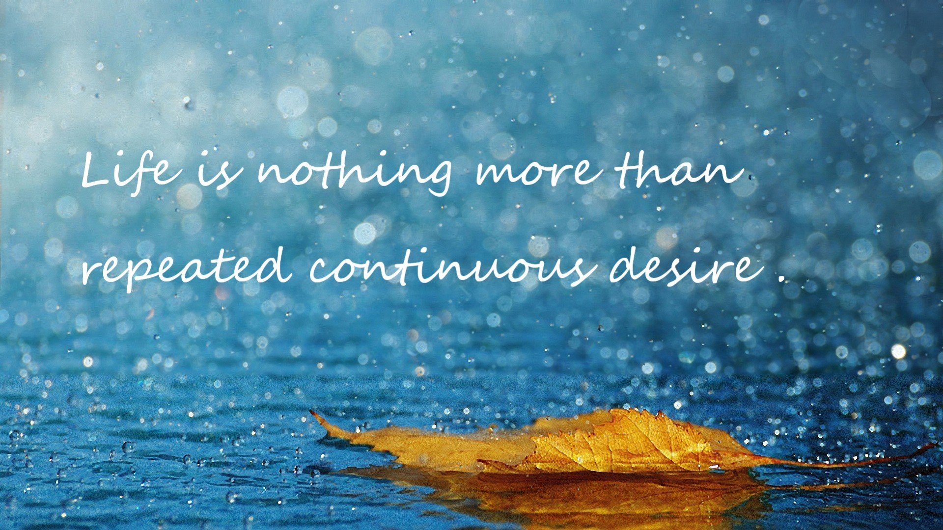 俱乐部试水线上观赛平台优化球迷远程观赛体验，一座现代化人性化的球场,无疑能极大促进球迷的观赛体