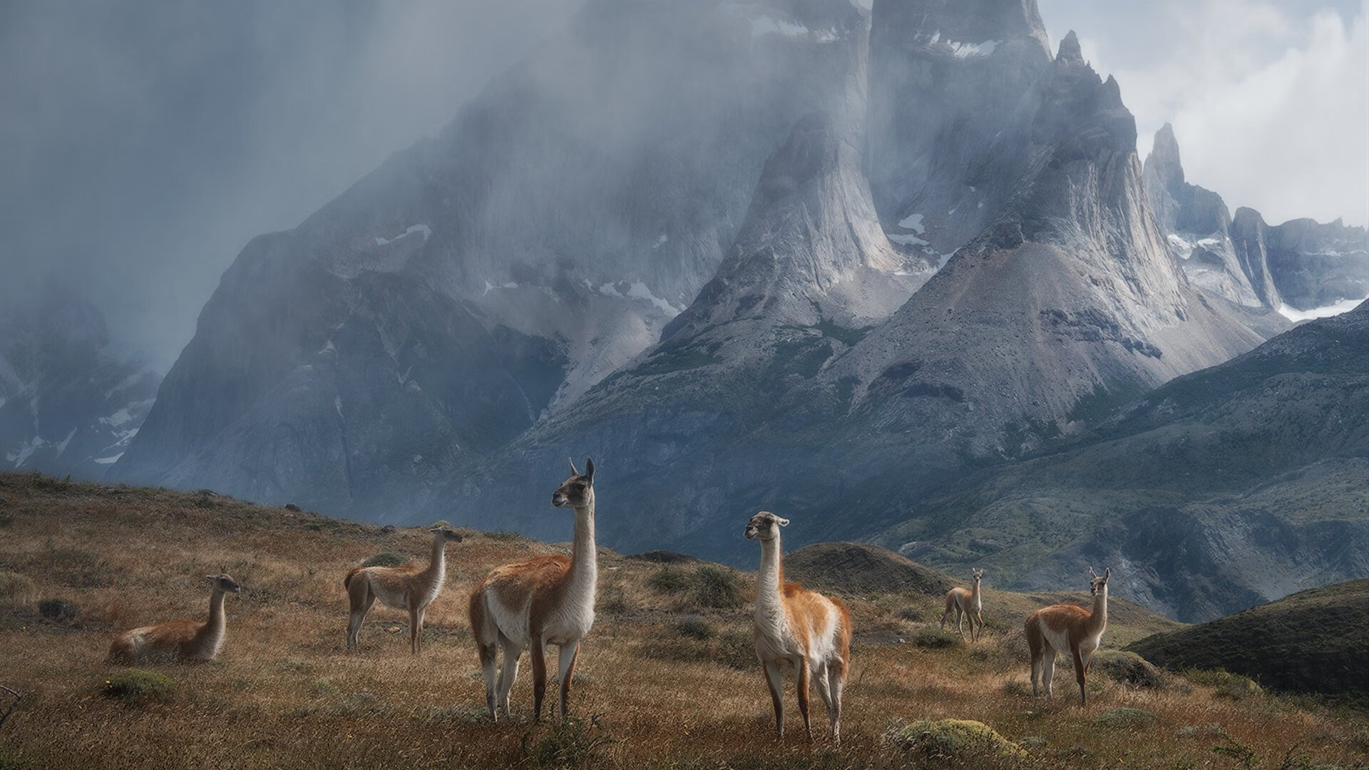 喀麦隆男篮在非洲锦标赛中表现强劲，迎来历史新高