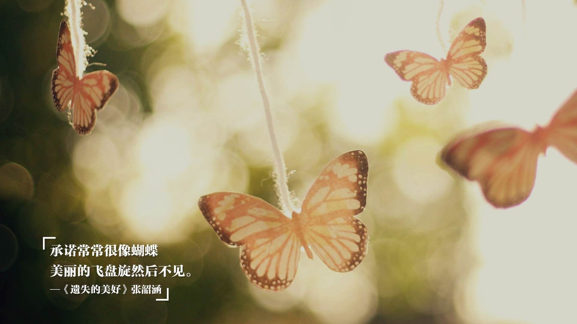 大卫·波波维奇技术动作精准完美，大卫波克菲尔百度百科